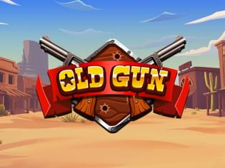 Old Gun Old Gun