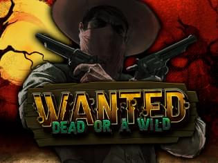 Wanted Dead or a Wild Wanted Dead or a Wild
